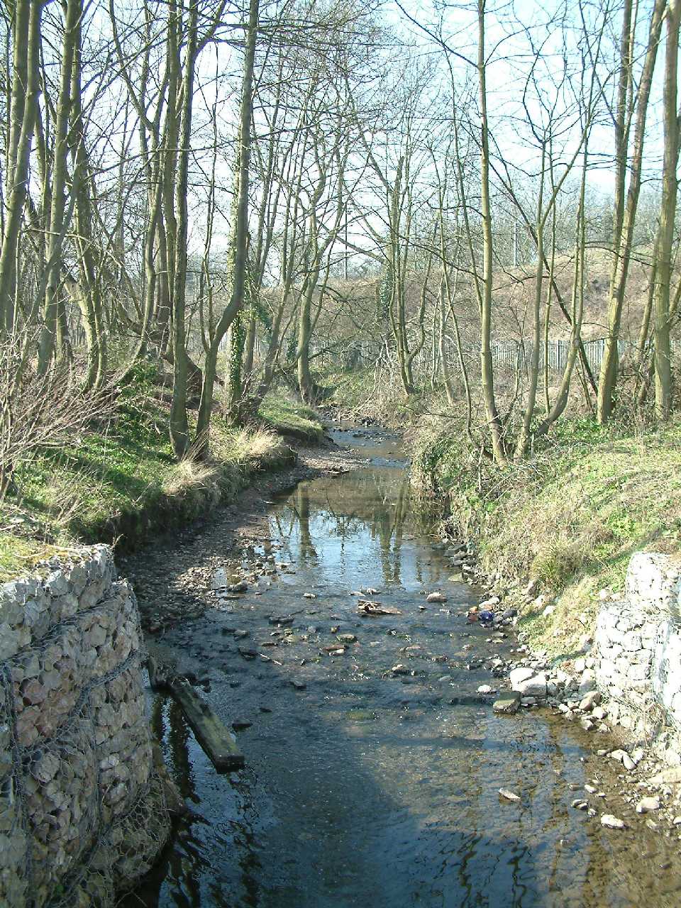 Coleys Lane, (Looking upstream)